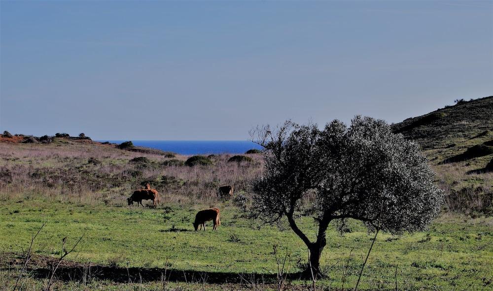 Praia Do Burgau Dış mekan fotoğraf
